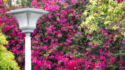 Monga, this name Wanhua, the birthplace of Taipei City, the oldest city street in the shade hat kitchen site Daxi mouth