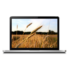 Laptop with wheat field on screen