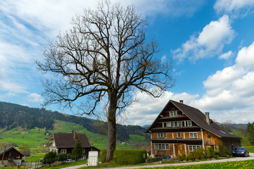 Old Swiss Farm in the Alps 