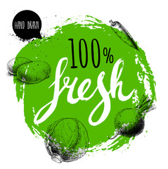 Farmer 100% fresh veggies design template. Green rough circle with hand painted letters. Engraving sketch style vegetables. Potatoes, carrot, beet root and cabbage. Hand drawn design.