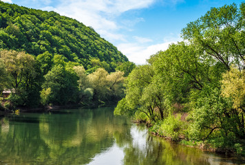River among the forest in picturesque Carpathian mountains in summer