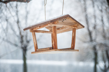 feeder for birds in the winter forest