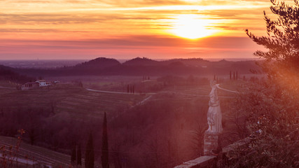 Naklejka na ściany i meble Sunset in the vineyards of Rosazzo