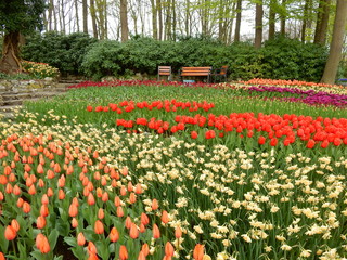 Kaukenhof garden, Netherlands