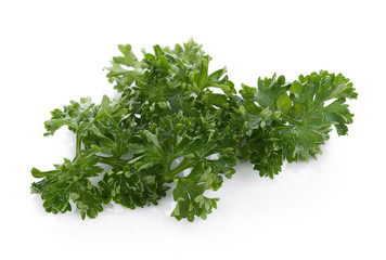 parsley isolated on a white background