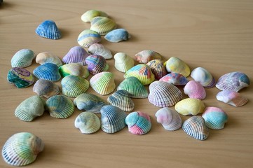 Close up many beautiful seashells, colored with different paints on wooden table background, homemade decoration, children's play. Shallow depth of focus. Summer concept.      