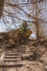 Zermatt, Dorf, Alpen, Zmutt, Furi, Blatten, zum See, Wanderweg, Treppe, Naturweg, Wallis, Schweizer Berge, Fr&uuml;hling, Schweiz