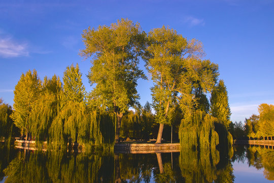 Romantic Island, Ternopil, Ukraine