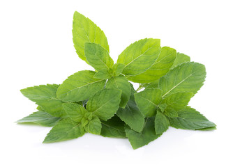 Peppermint on white background