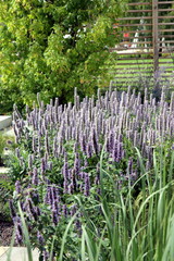 Buga 2015 Brandenburg