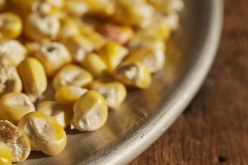 kernels of dried Native American flint corn