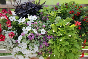 Buga 2015 Brandenburg