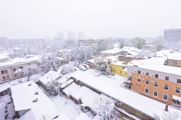 Heavy snow apocalypse in Moldova, frozen Chisinau city, on 20 and 21 of april 2017, spring anomaly, natural cataclysm, falling green trees disaster, general emergency state, exceptional situation