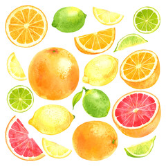 Watercolor vector fruit set with lemon, lime, orange and grapefruit