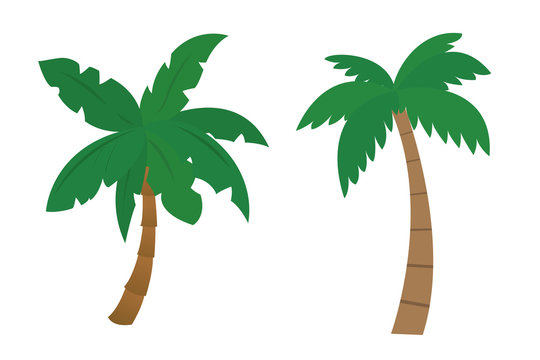 Set of cartoon palms with brown trunk and green leafs painted by flat design - vector illustration isolated on white background