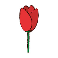 Beautiful flower ornament icon vector illustration graphic design