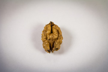 Walnut without shell isolated on white