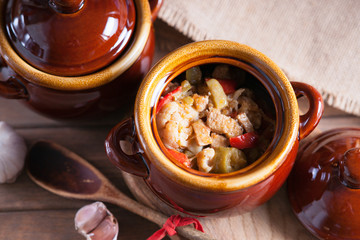 Beef meat stewed with vegetables in ceramic pot 