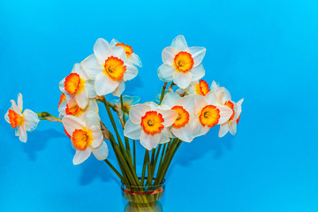 The white narcissus. Spring Flower. Bouquet of narcissus in a vase.