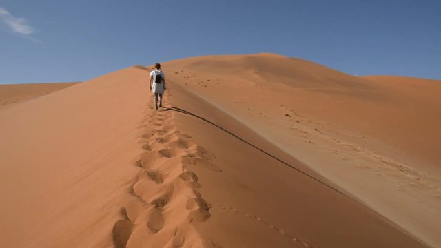 Tourist walking on the scenic dunes of Sossusvlei, Namib desert, Namib Naukluft National Park, Namibia. Afternoon light. Adventure and exploration in Africa.
