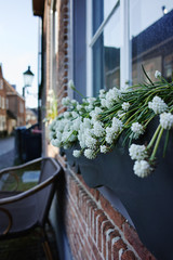 Spring white flowers on the window on the old Dutch street