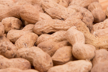 Peanut closeup on a white background.