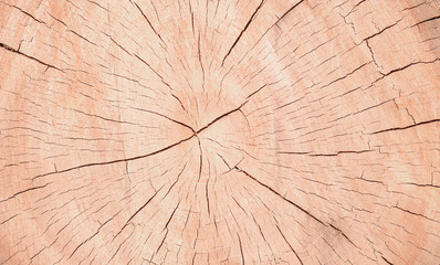 wood background texture