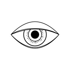 Human eye symbol icon vector illustration graphic design