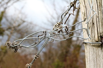 Verknoteter Eisendraht