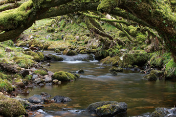 Flie&szlig;endes Wasser in Langzeitbelichtung