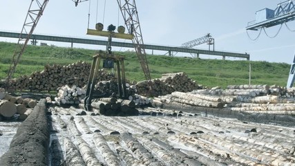A gantry crane on the sawmill
