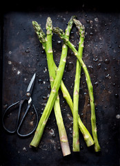 Wet bunch of Green asparagus laying on old metal dark tray. Vegetable concept