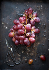 Wet Bunch of red Grapes laying on old metal dark tray