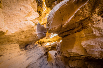 The slot canyon trail in the Anza-Borrego State Desert Park in southern California.