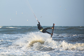 Surfer
