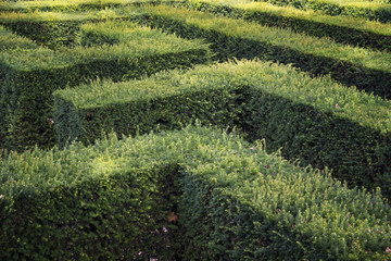 Grass Maze