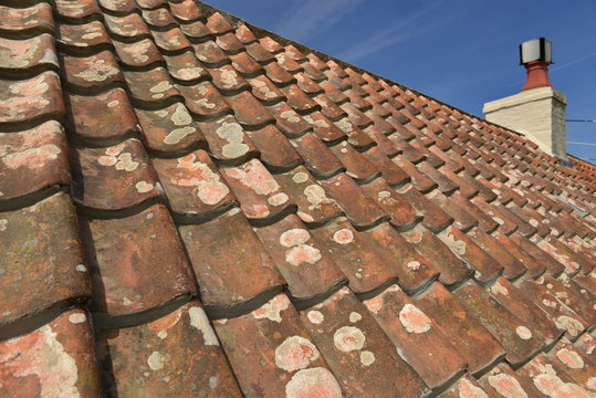 Bungalow roof, Jersey, U.K.  wide angle image of a newly renovated 19th century pantile roof keeping it traditional.