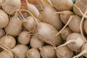 stacked daikon white radishes