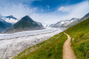 Fototapeta premium Aletsch Glacier in Alps, Switzerland