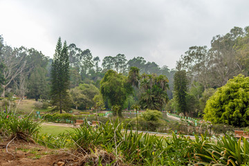 Wide view of green garden with grass, trees, plants, shadows and pathway, Ooty, India, 19 Aug 2016