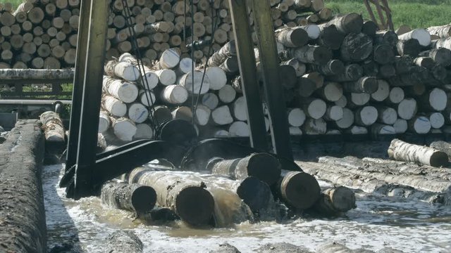 A gantry crane with wooden logs