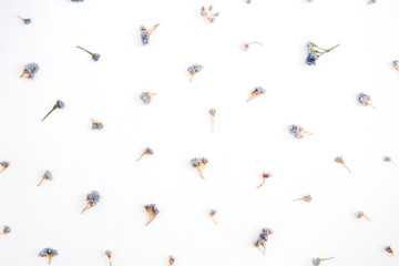 Floral pattern made of blue dried flowers on white background. Flat lay, top view. Floral pattern.