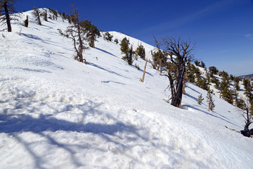 Steep angled slopes on mountain showing avalanche terrain, a major risk for skiing, hiking and climbing on mountains in fresh snow