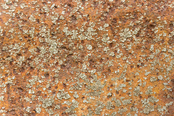 Background old relief rusty metal steel
