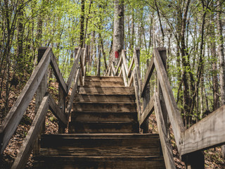 Fototapeta premium Stairways