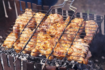 Pieces of chicken meat, roasted on the grill.