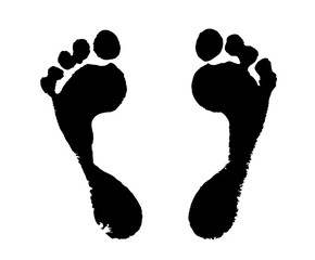 foot silhouette on a white background