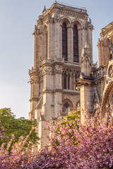 Notre Dame de Paris