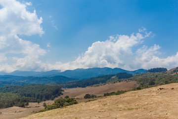 Famous tourist spot and movie shooting spot at Ooty,India.