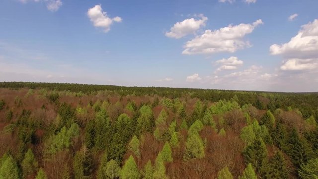 Beautiful view over the forets in spring